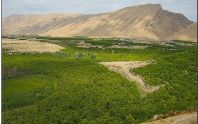 تعیین تکلیف ۱۵ پرونده واگذاری اراضی ملی و دولتی خوزستان