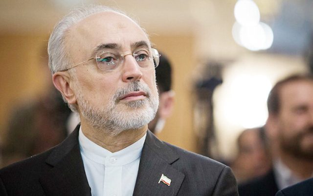 صالحی: موضوع هستهای بهانه دشمن بود + فیلم