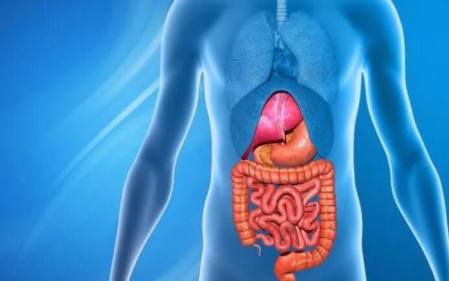 ارتباط استرس و اضطراب با برخی بیماریهای گوارشی