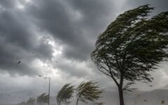 تندباد و بارش پراکنده غرب استان را در برمی‌گیرد