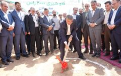 گاوداری ۲هزار رأسی معمولان کلنگ‌زنی شد