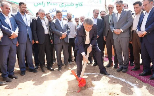 گاوداری ۲هزار رأسی معمولان کلنگ‌زنی شد