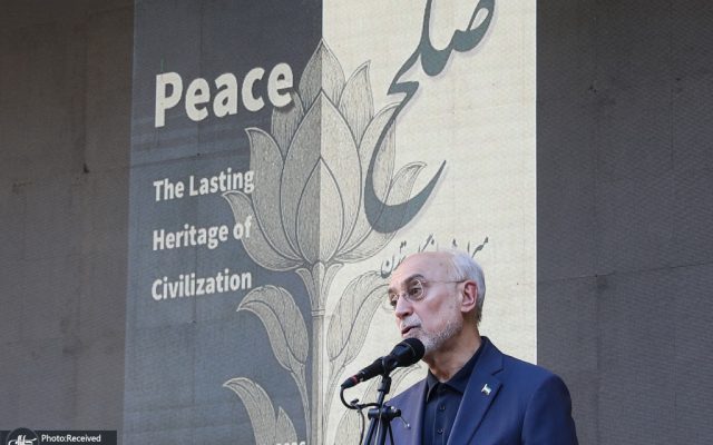علی‌اکبر صالحی: جنگ هرگز سرنوشت محتوم نیست/ مدعیان پاسداری از نظم بین‌المللی رویکردی معکوس در پیش گرفته‌اند
