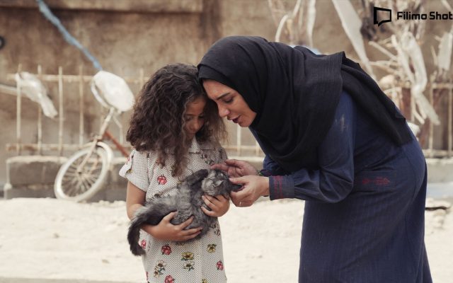 آغاز اکران بیسروصدای «دانههای انگور» و «سرزمین فرشتهها» از امروز، یکشنبه ۲۹ شهریور/ خیز بلند برای اسکار؟
