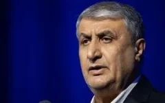 بلومبرگ: آمریکا مانع شرکت اسلامی در نشست آژانس شد