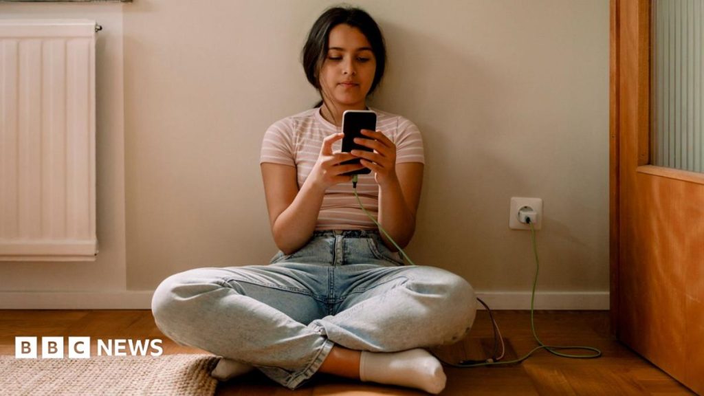 EU announces plan to restrict social media access for under-15s