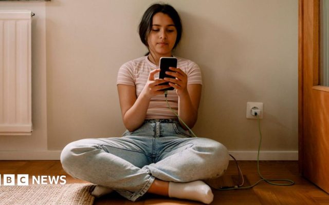 EU announces plan to restrict social media access for under-15s