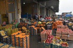 بررسی دقت ترازوهای میدان میوه و ترهبار کرمان توسط کارشناسان استاندارد