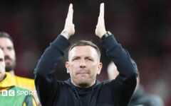 Bellamy 'hurting' as Denmark outclass Wales