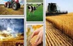 برگزاری کاروان ترویج بهره وری و الگوی کشت ملی محصولات زراعی در ۲۰ شهرستان آذربایجان غربی