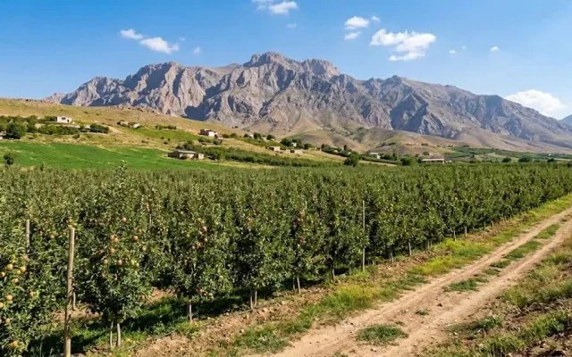 آزمون وعدهها در سمیرم