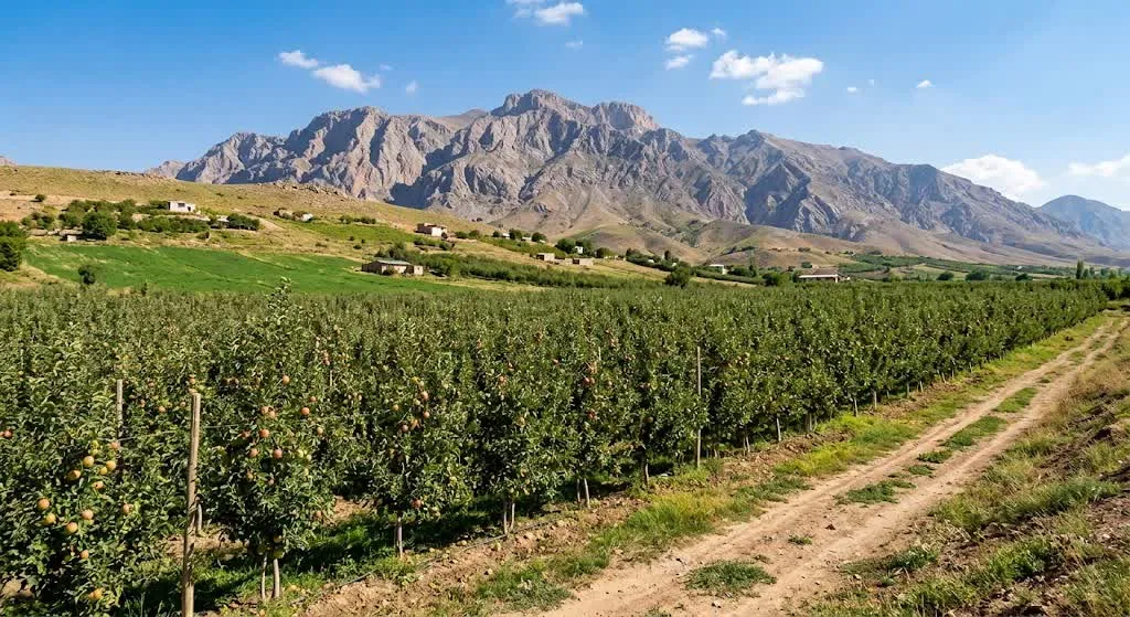 آزمون وعده‌ها در سمیرم