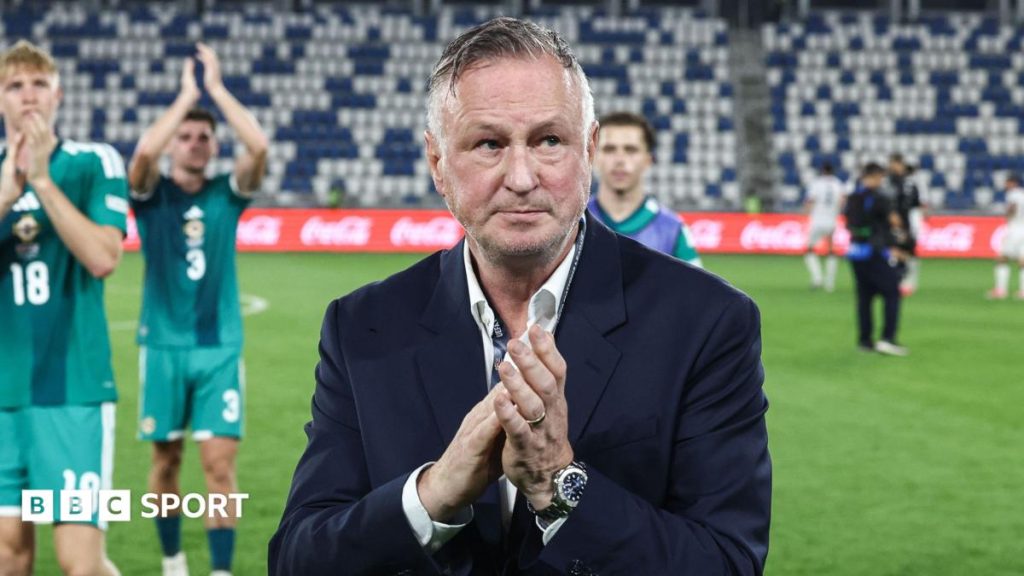 O'Neill left 'baffled' by refereeing in late NI win in Georgia