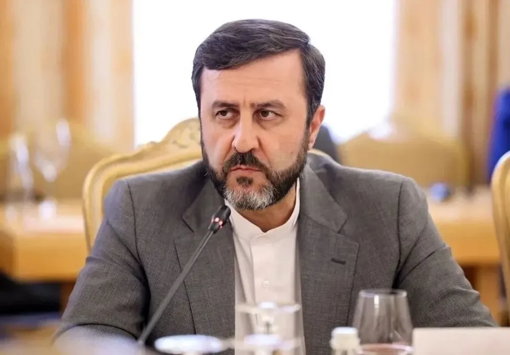معاون وزیر خارجه: سران بریکس از درخواست الحاق ایران به سازمان تجارت جهانی حمایت قاطع کرده‌اند