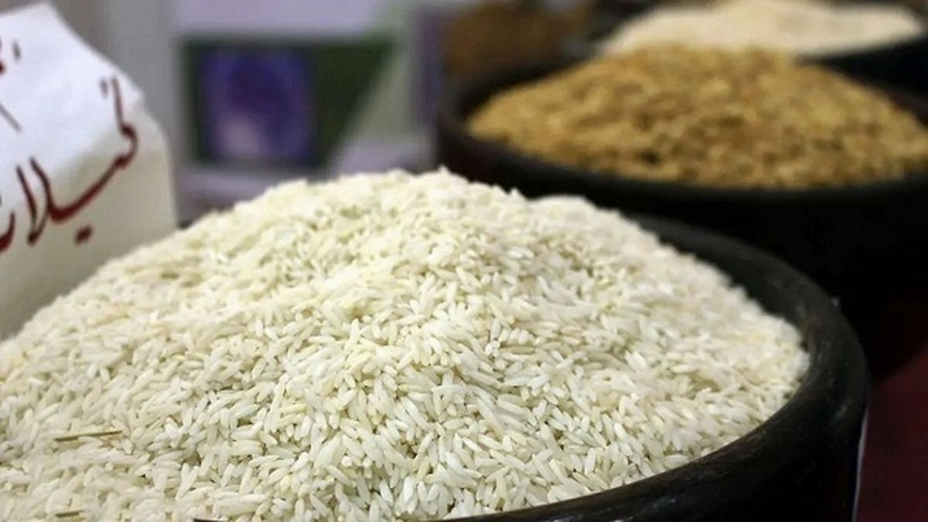 نظارت بر واسطه‌ها؛ حلقه مفقوده بازار شالی و برنج کشور