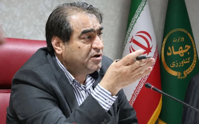 آغاز خرید حمایتی مرغ از ۲۳ شهریور ماه