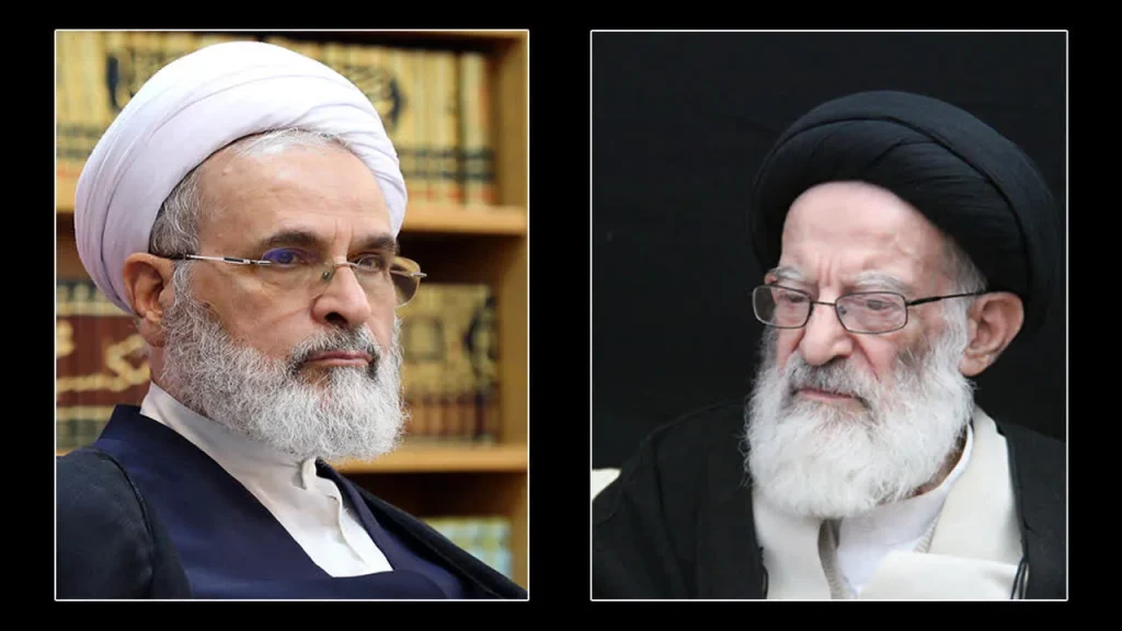 خدمات آیت الله شبیری زنجانی ستایش برانگیز است/ تعطیلی دروس حوزه تا پایان هفته
