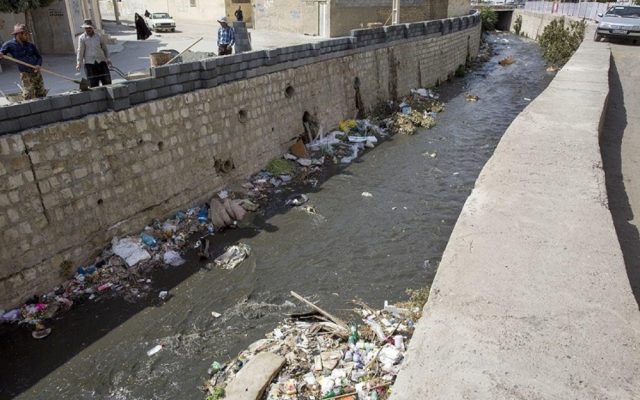 تب دنگی را باید از حیاط خانه‌ها کنترل کنیم