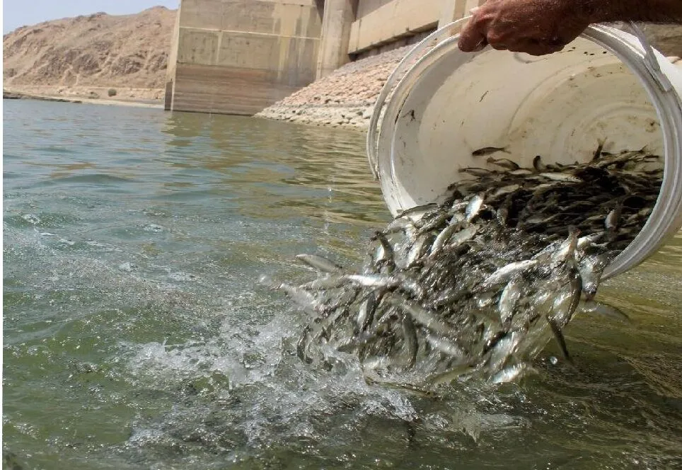 سرمایه‌گذاری ۴۵میلیارد تومانی برای توسعه مجتمع تکثیر آبزیان قصرشیرین
