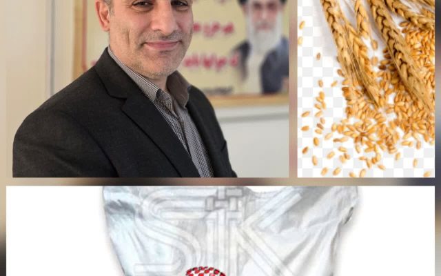 مدیرکل غله گیلان در گفتگو با خبرآنلاین گیلان:۷۰ تا ۸۰ درصد گندم گیلان وارداتی است