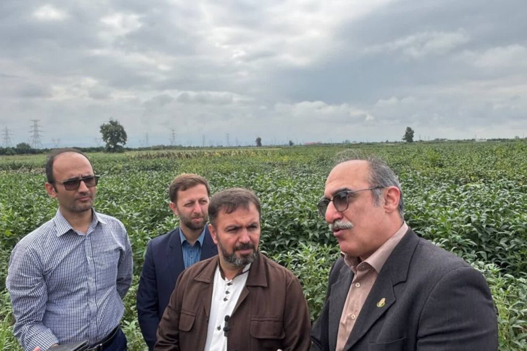 هجدهمین اردوی راویان پیشرفت در مازندران برگزار شد