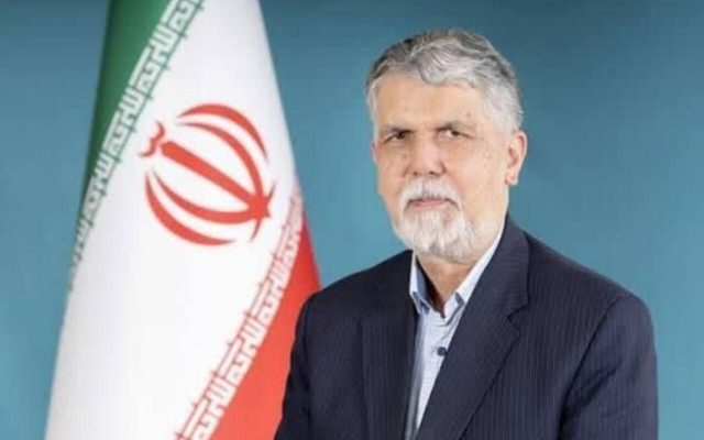 صالحی: زبان فارسی مظهر همبستگی و تحکیم مبانی ملی است