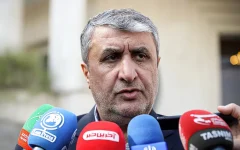 محمد اسلامی به وین رفت