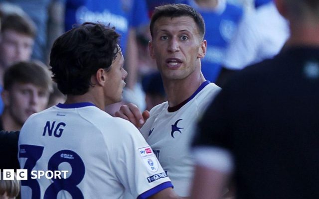 FA charges Cardiff's Bielik as police end inquiry