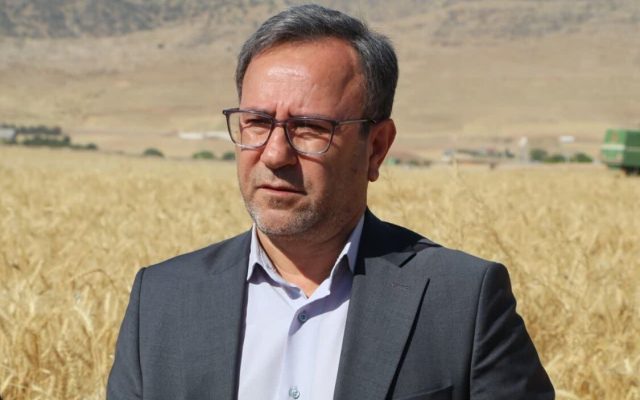 فعالیت ۱۹۷ داروخانه گیاه‌پزشکی در لرستان