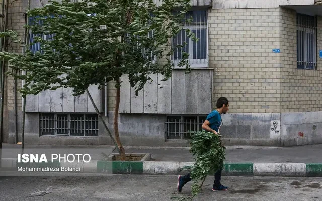 هشدار نسبت به وزش باد شدید در تهران؛ احتمال خیزش گرد و خاک