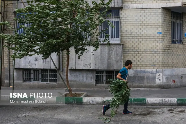 هشدار نسبت به وزش باد شدید در تهران؛ احتمال خیزش گرد و خاک