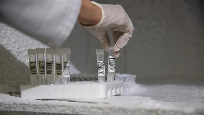 مسیرهای جایگزین تامین مواد اولیه دارو فعال است