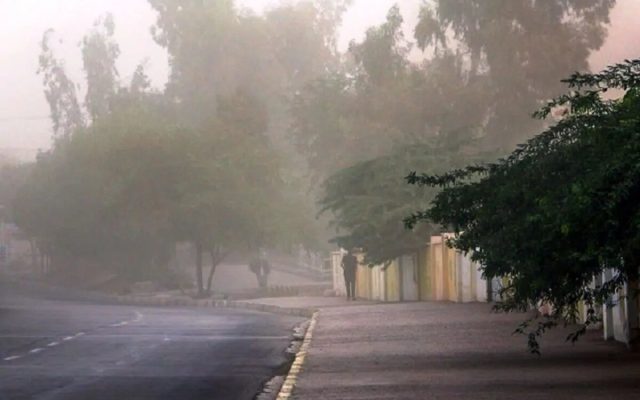 چرا بوی خاکِ نم‌ خورده آرامش‌ بخش است؟/ آیا عطر باران جایگزین دارد
