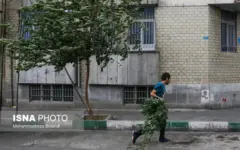باد در تهران شدت می‌گیرد؛ اوج وزش باد در روز چهارشنبه