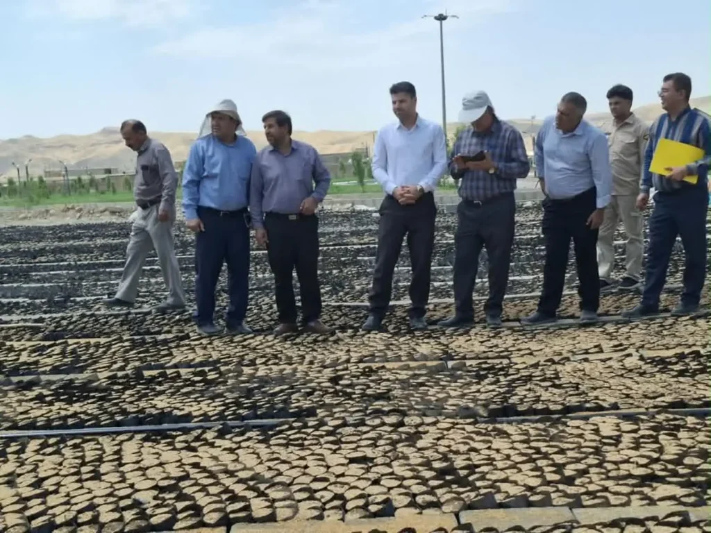 تولید ۶میلیون اصله نهال در سال جاری توسط منابع طبیعی استان