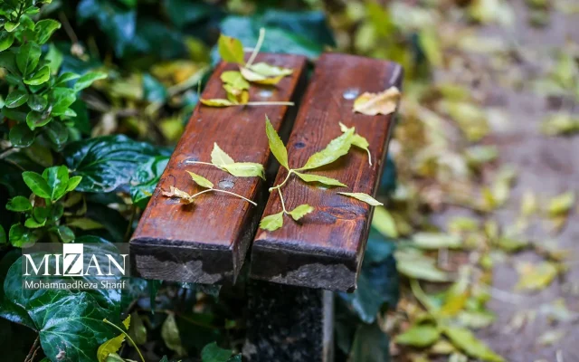 بارندگی و کاهش دما در نوار شمالی کشور