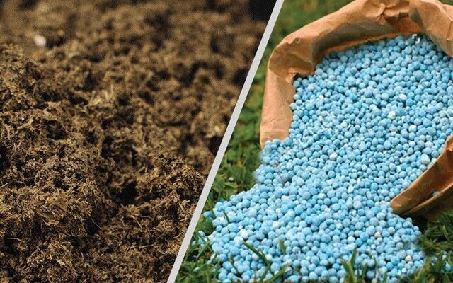 توزیع ۶۹ هزار تن کود یارانه دار بین کشاورزان اصفهان