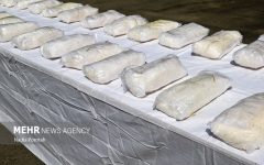کشف ۲۰۰ کیلوگرم ماده مخدر گل در عملیات مشترک پلیسی