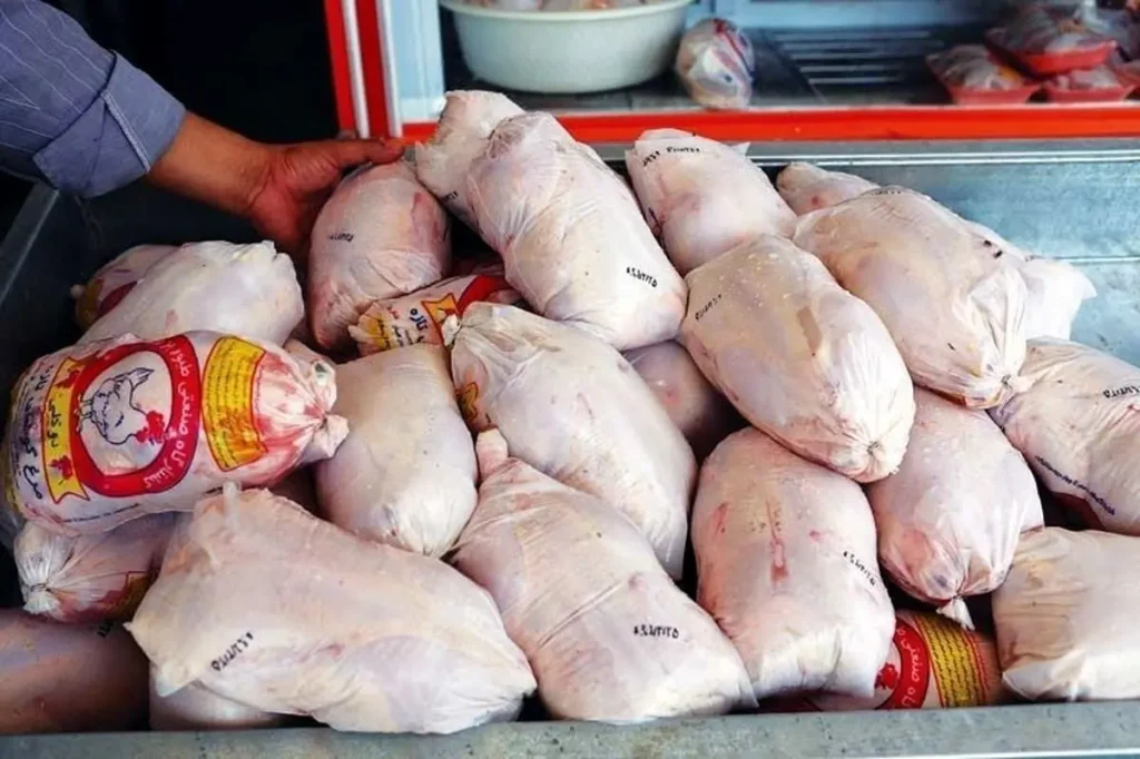 آغاز خرید حمایتی مرغ از امروز؛ مرغ ها با این روش عرضه می شوند