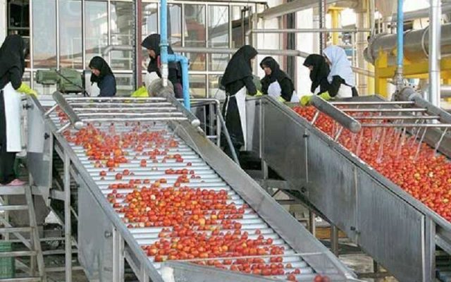 ضرورت شفاف‌سازی و رفع موازی‌کاری در صدور مجوز‌های صنایع تبدیلی خوزستان
