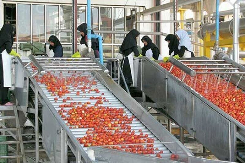 ضرورت شفاف‌سازی و رفع موازی‌کاری در صدور مجوز‌های صنایع تبدیلی خوزستان