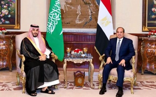 تأکید سران مصر و عربستان بر تضمین امنیت دریانوردی در تنگه هرمز و باب المندب