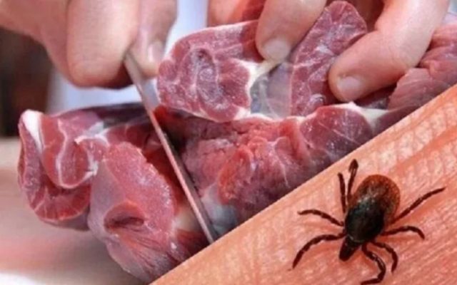تب کریمه کنگو در یزد جان زن جوانی را گرفت؛ ماجرای گوشت غیرمجاز چه بود؟