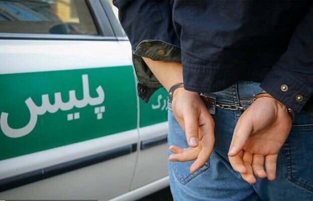 کشف ۱۰فقره سرقت اماکن خصوصی درگناوه؛ سارق دستگیر شد