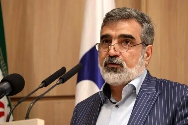 کمالموندی: اقدام اتریش پیگیری می‌شود