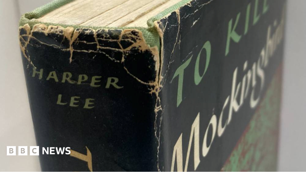 Harper Lee first edition novel found in Oxfam shop