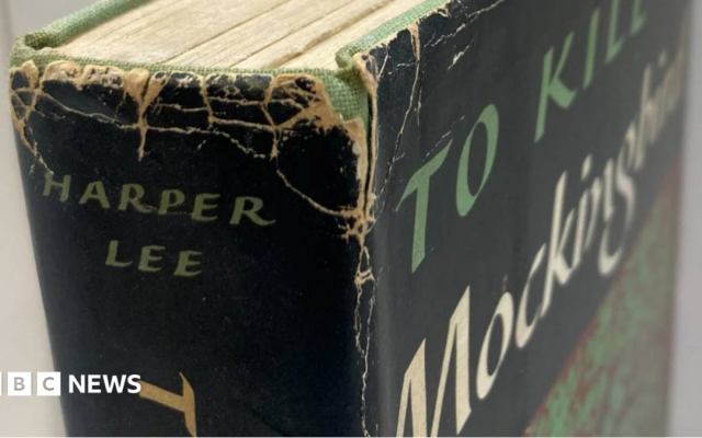 Harper Lee first edition novel found in Oxfam shop