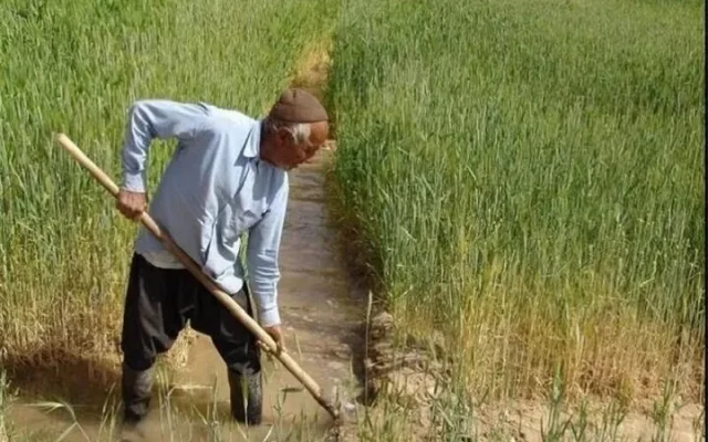 «ال‌نینو» و ضرورت بیمه محصولات کشاورزی در همدان