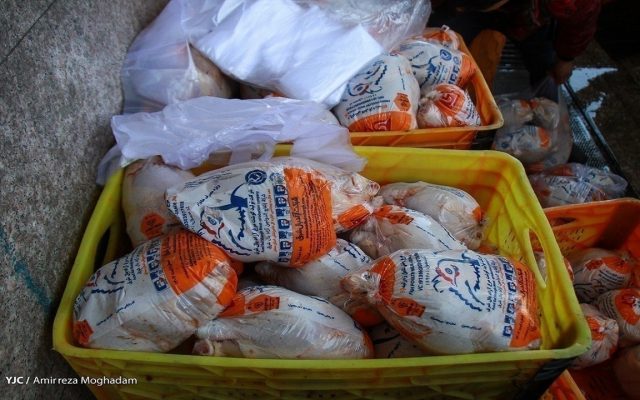راهکار تنظیم بازار مرغ و خروج مرغداران از زیان چیست؟/ خرید حمایتی میتواند مرهم مرغداران شود؟