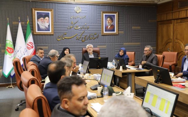 تأکید معاون استاندار کردستان بر نظارت میدانی فرمانداران بر هوشمندسازی آرد روستایی